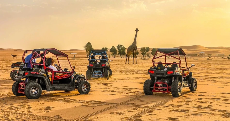 Day Trips from Riyadh