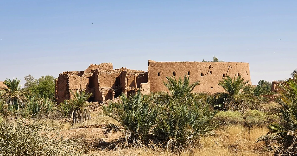 Day Trips from Riyadh