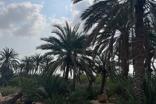 Imej lawatan 8